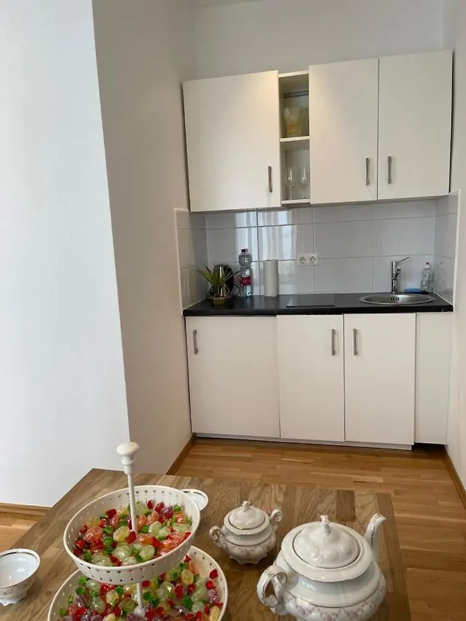 Vienna City Apartment 1